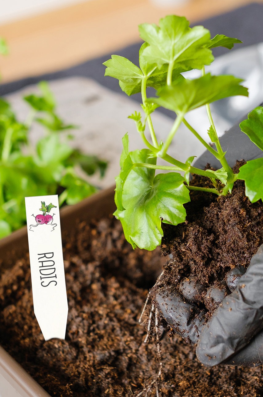 Graine Creative Κιτ ετικετών φυτών DIY Crazy Plastic Kit φωτογραφία