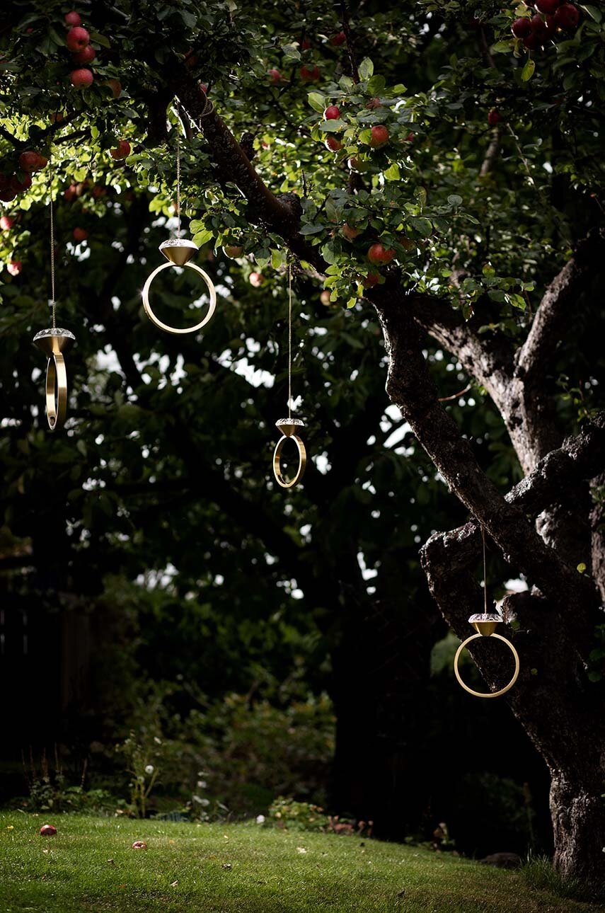 Τροφοδότης πουλιών Garden Glory Diamond φωτογραφία