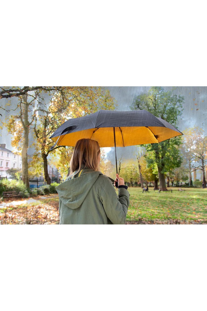 Ομπρέλα Luckies of London Black & Gold χρώμα: πολύχρωμο φωτογραφία