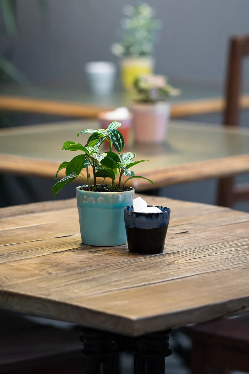 Σετ φλιτζάνια εσπρέσο Costa Nova Grespresso Lungo 190 ml 6-pack χρώμα: τιρκουάζ φωτογραφία