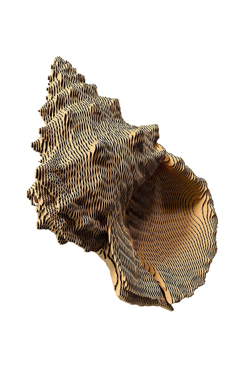3d παζλ Cartonic Shell χρώμα: πολύχρωμο, 0 φωτογραφία