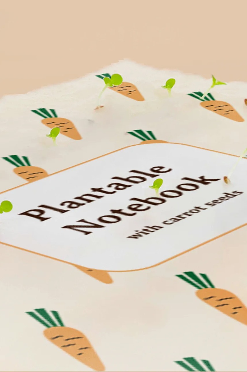 Σημειωματάριο με σπόρους καρότων για καλλιέργεια RESETEA 14,8 x 21 cm φωτογραφία