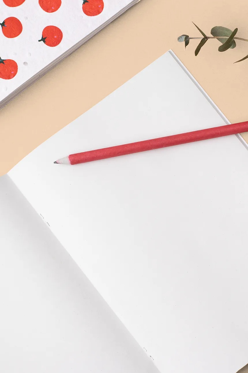 Σημειωματάριο με σπόρους καρότων για καλλιέργεια RESETEA 14,8 x 21 cm φωτογραφία