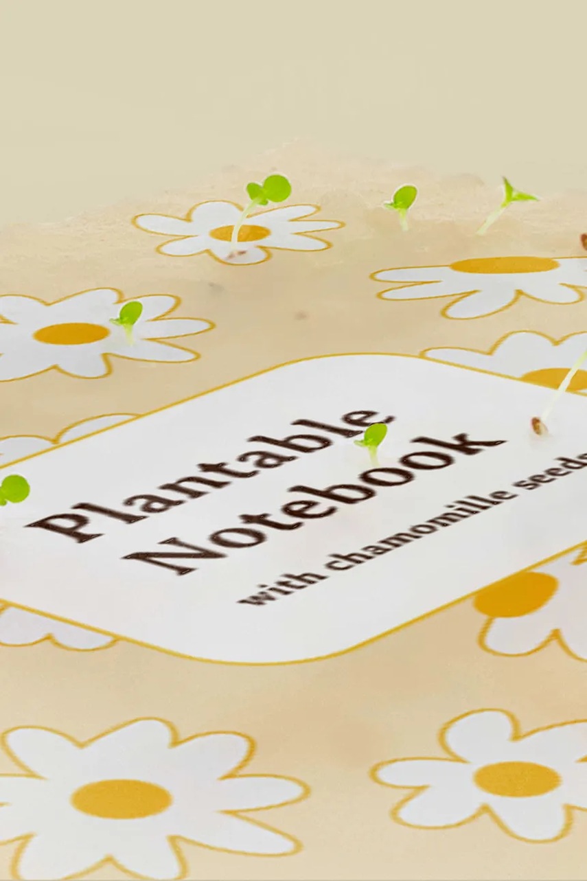 Σημειωματάριο με σπόρους χαμομηλιού για καλλιέργεια RESETEA 14,8 x 21 cm χρώμα: κίτρινο φωτογραφία