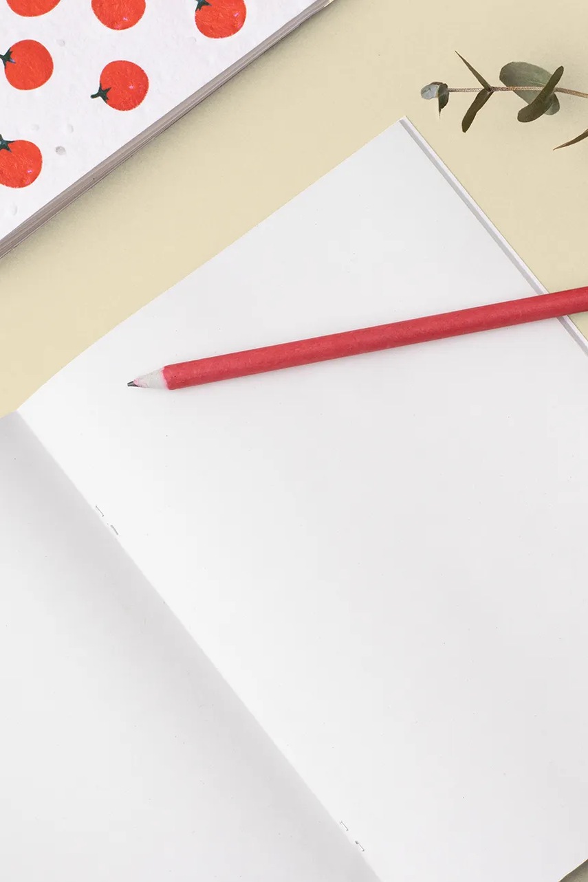 Σημειωματάριο με σπόρους χαμομηλιού για καλλιέργεια RESETEA 14,8 x 21 cm χρώμα: κίτρινο φωτογραφία