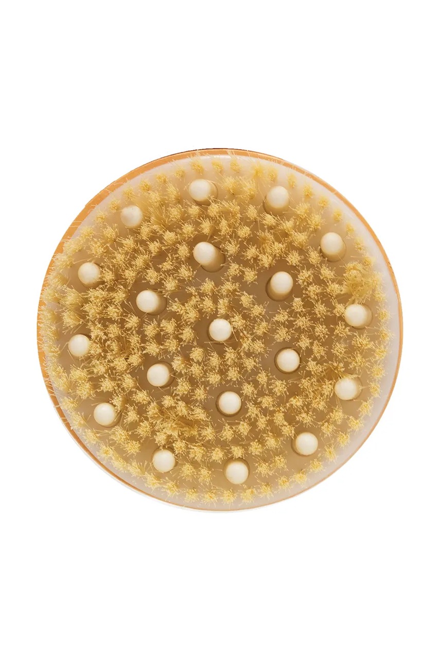 Στεγνή βούρτσα μασάζ Wanderflower Invigorating φωτογραφία