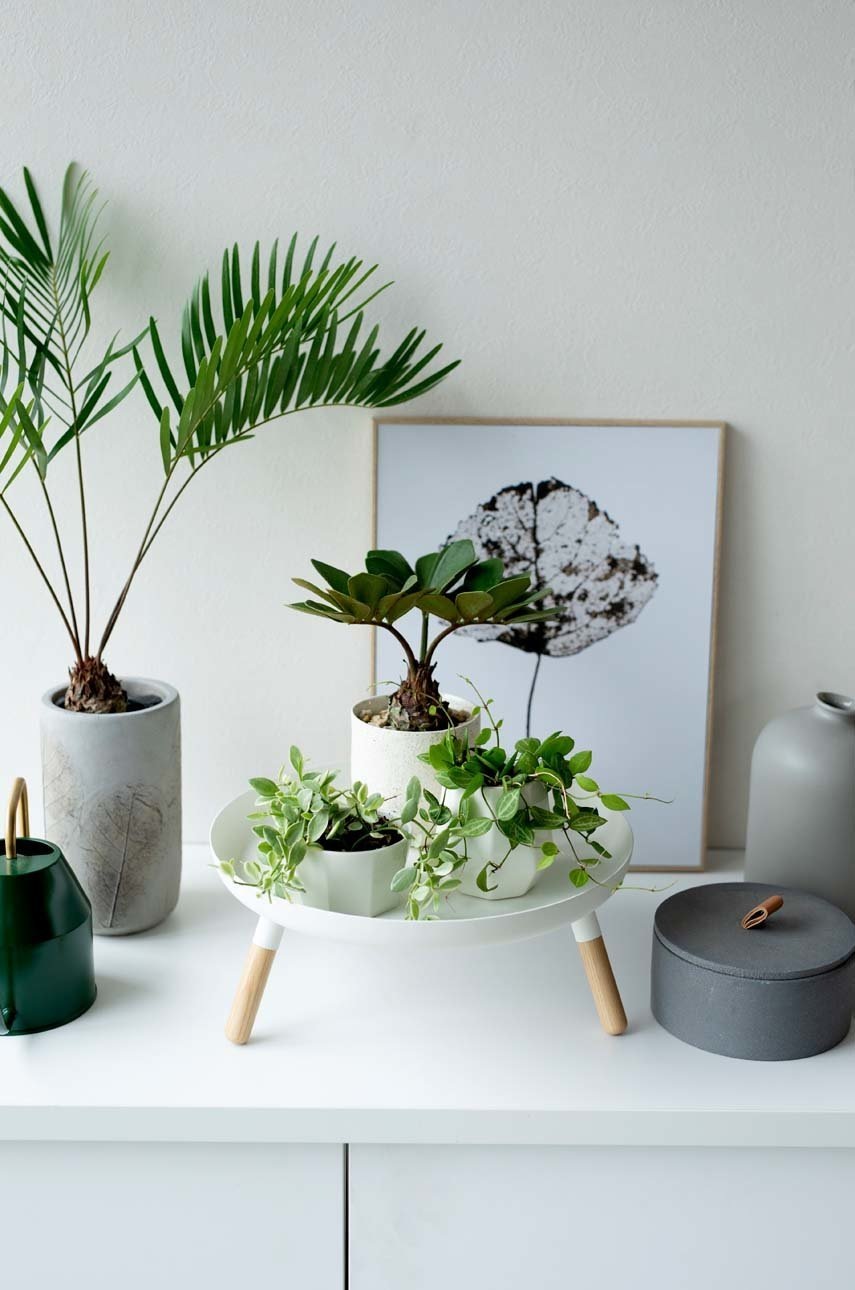 Δίσκος - σχάρα Yamazaki Plain φωτογραφία