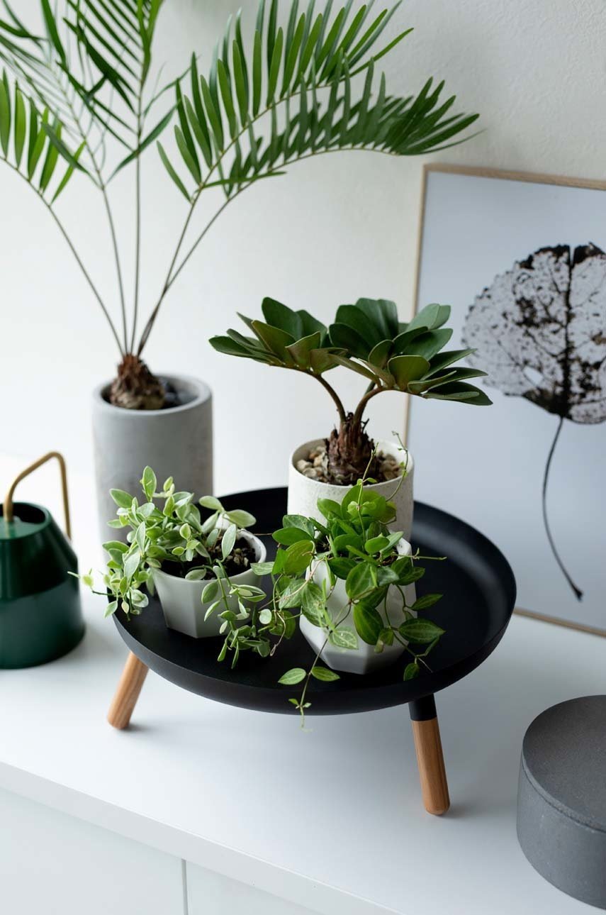 Δίσκος - σχάρα Yamazaki Plain φωτογραφία