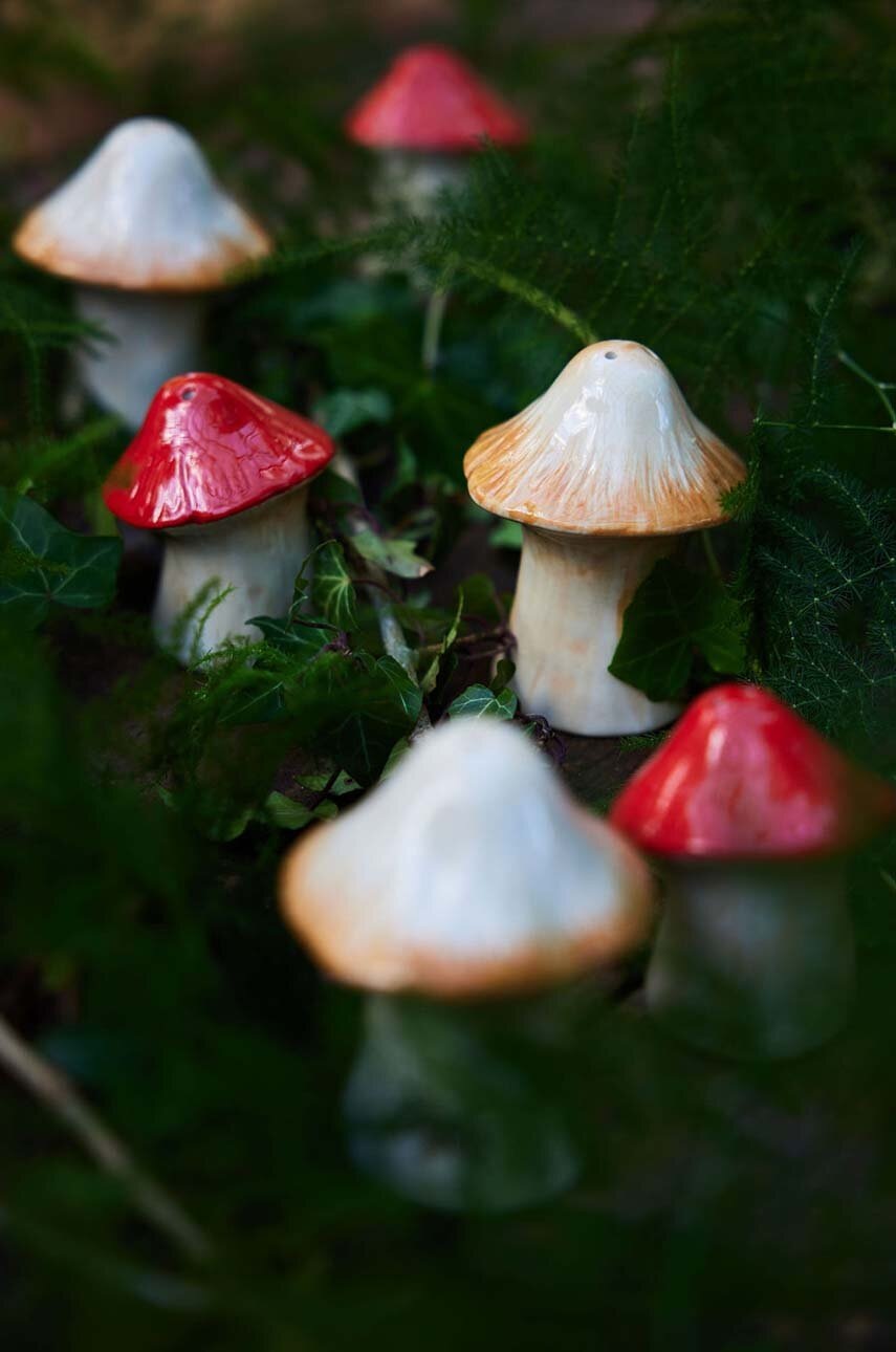 Αλατιέρα και πιπεριέρα Byon Mushi φωτογραφία