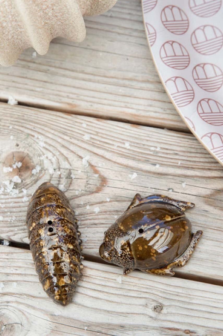 Αλατιέρα και πιπεριέρα Byon Bug φωτογραφία