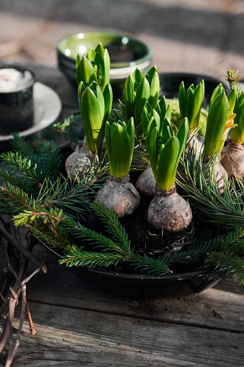 Πιάτο Sagaform Doris χρώμα: μπεζ φωτογραφία