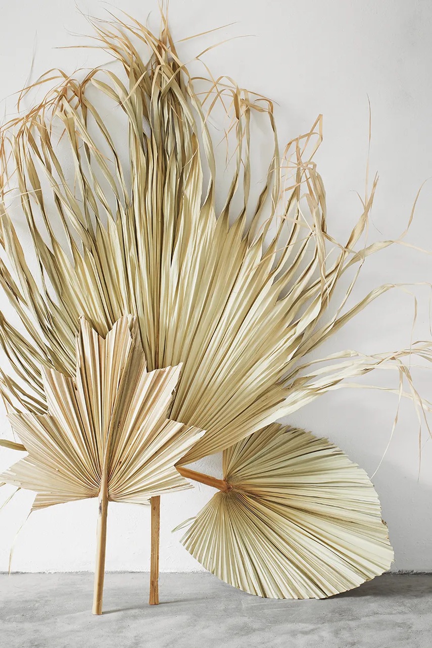 Настенный декор Madam Stoltz Palm Leaves 60-70 cm 3 шт цвет бежевый