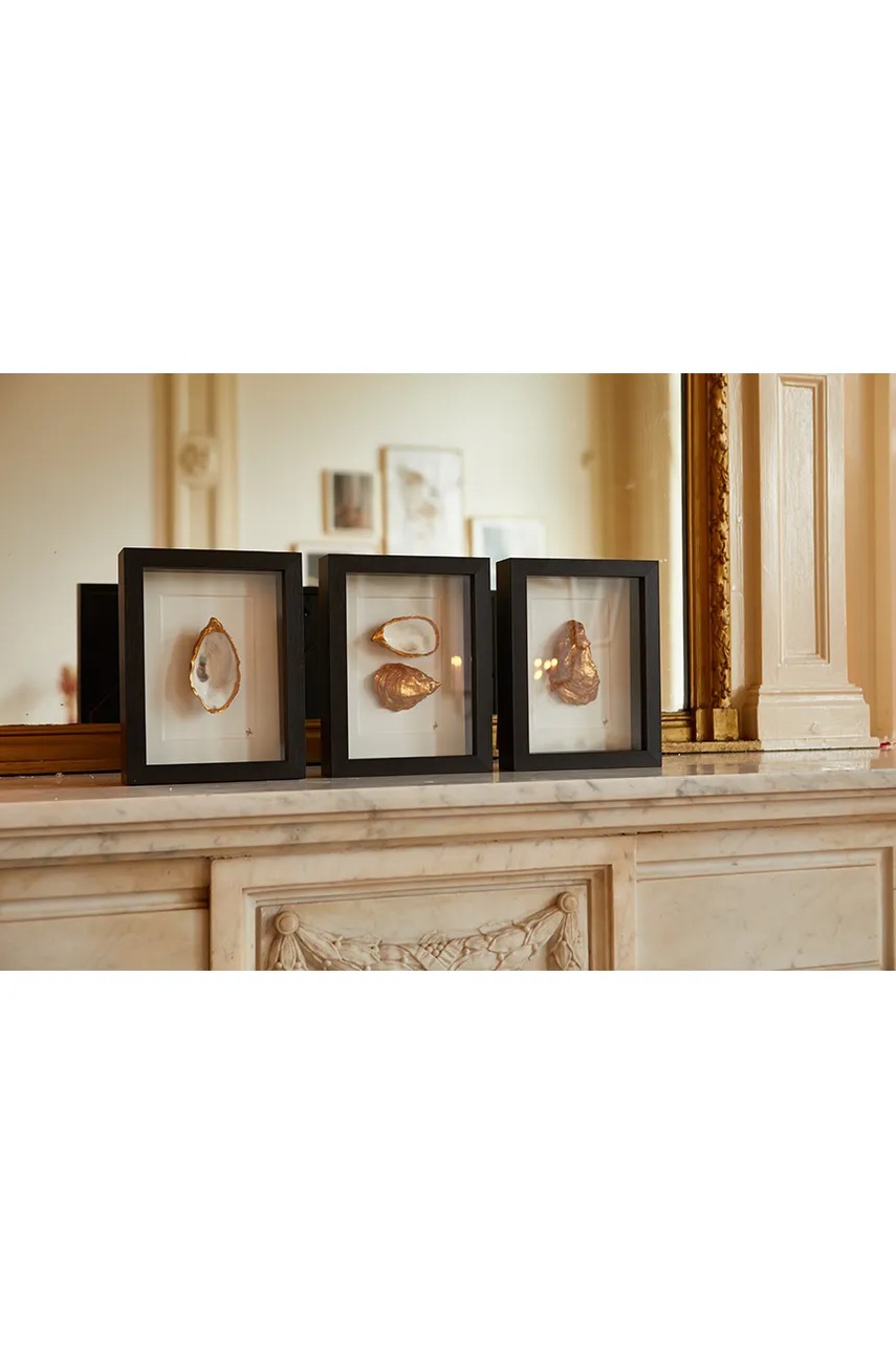 Διακοσμητικό τοίχου σε κορνίζα Maria el Mar Double Oyster 27 x 22 cm χρώμα: μαύρο φωτογραφία