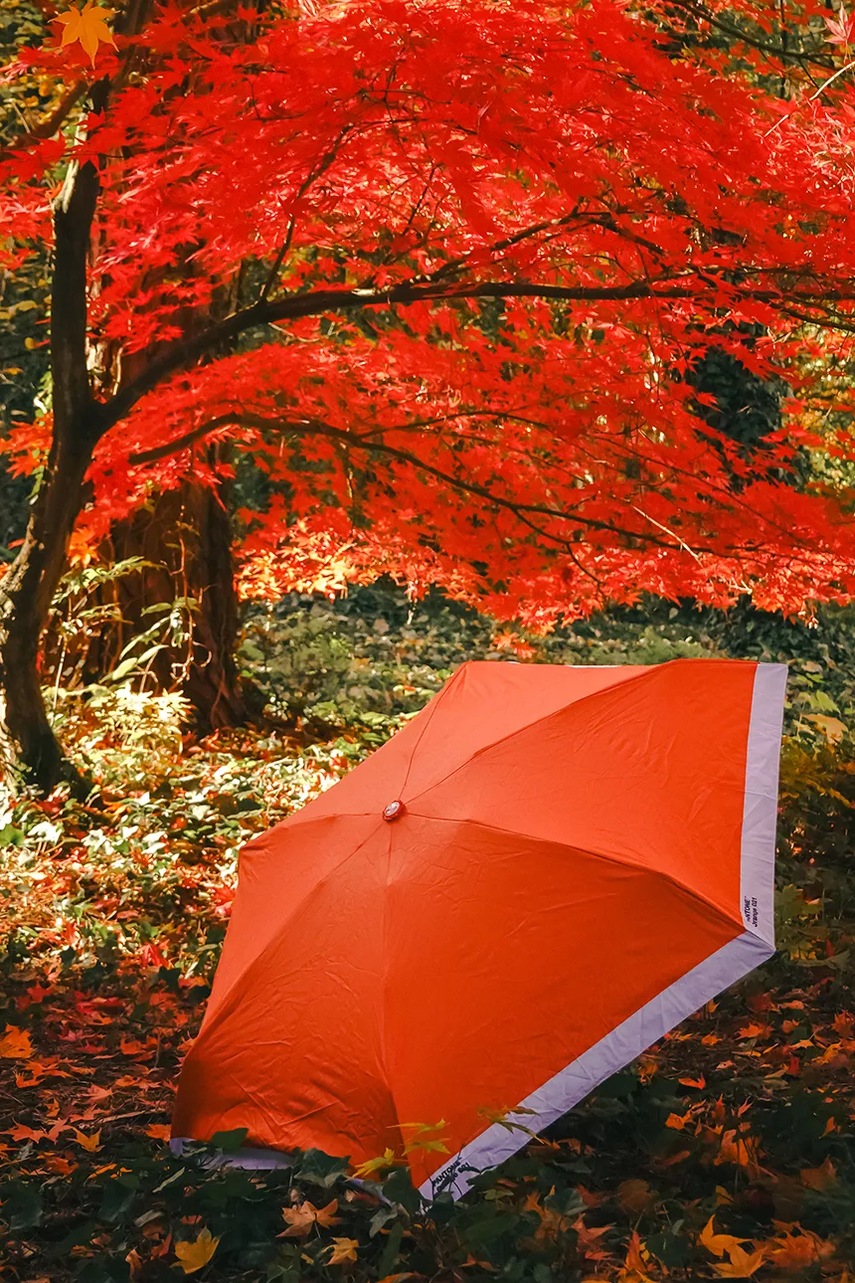 Πτυσσόμενη ομπρέλα Pantone Orange 021 100 x 53 cm φωτογραφία