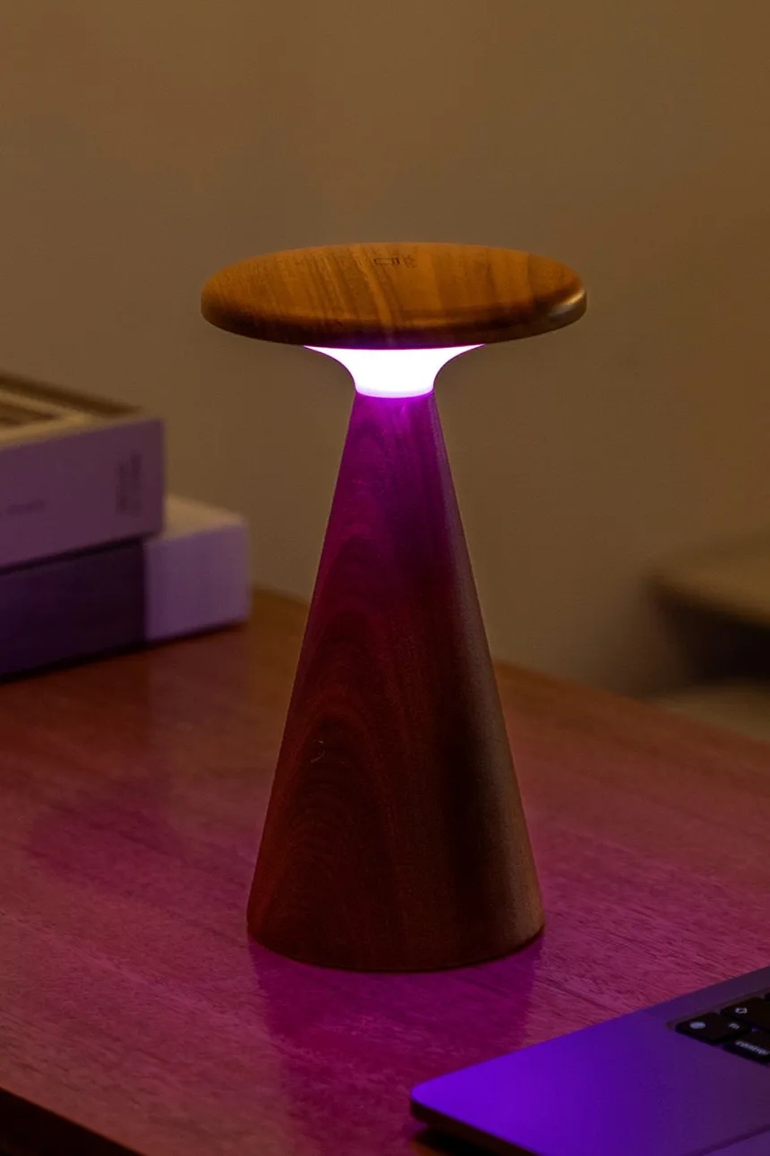 Ασύρματο επιτραπέζιο φωτιστικό led Gingko Design Sylva Large 21 cm χρώμα: καφέ φωτογραφία