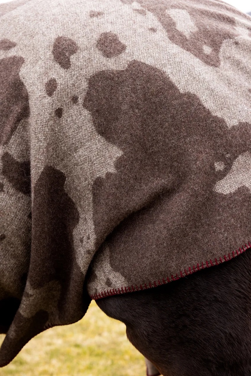 Κουβέρτα από μαλλί Byon Anima 130 x 160 cm χρώμα: καφέ φωτογραφία