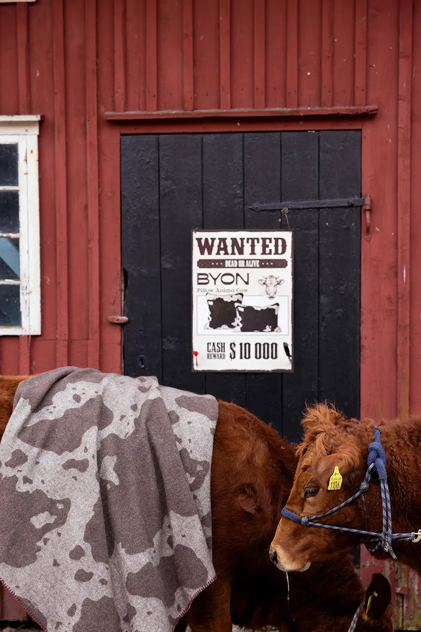 Κουβέρτα από μαλλί Byon Anima 130 x 160 cm χρώμα: καφέ φωτογραφία