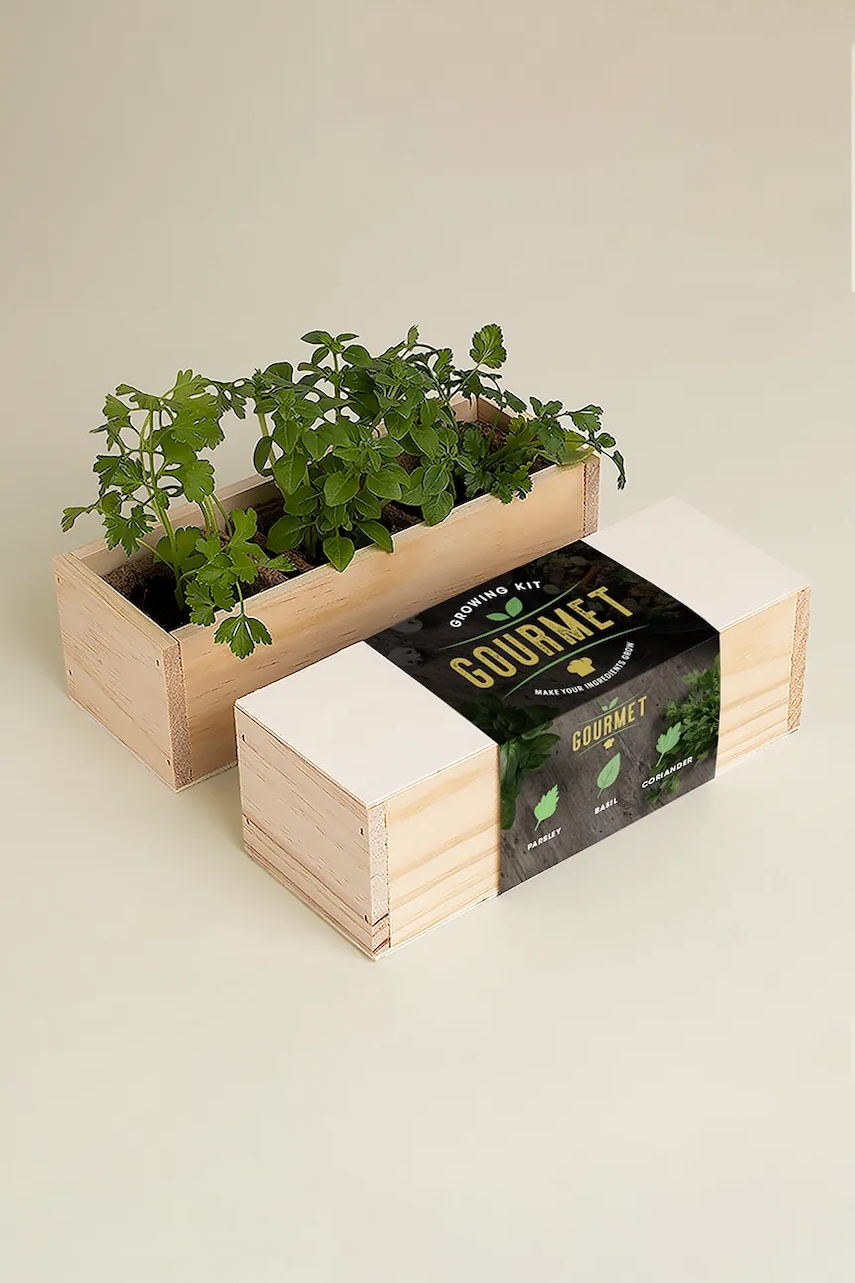 RESETEA set pentru cultivarea plantelor Growing Kit 21 x 7,8 x 6,5 cm