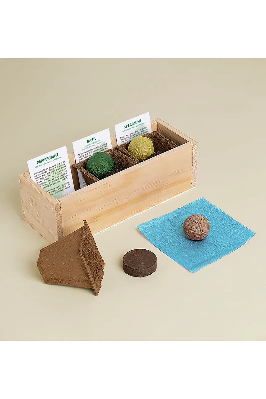 Σετ για την καλλιέργεια φυτών RESETEA Mojito Growing Kit 21 x 7,8 x 6,5 cm φωτογραφία