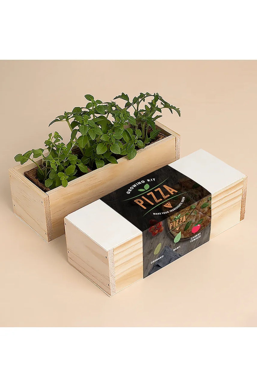 RESETEA set pentru cultivarea plantelor Pizza Growing Kit 21 x 7,8 x 6,5 cm