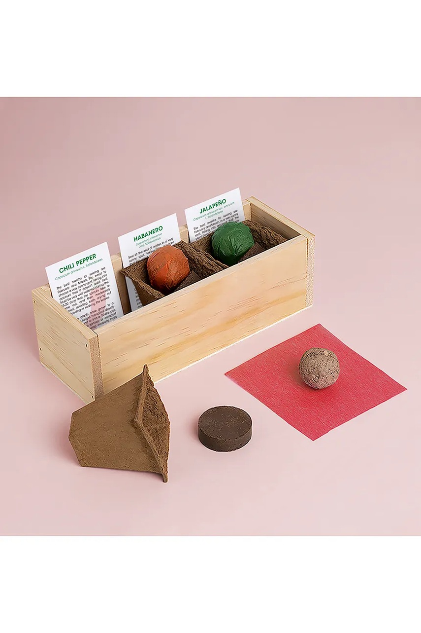 Σετ για την καλλιέργεια φυτών RESETEA Spicy Growing Kit 21 x 7,8 x 6,5 cm φωτογραφία