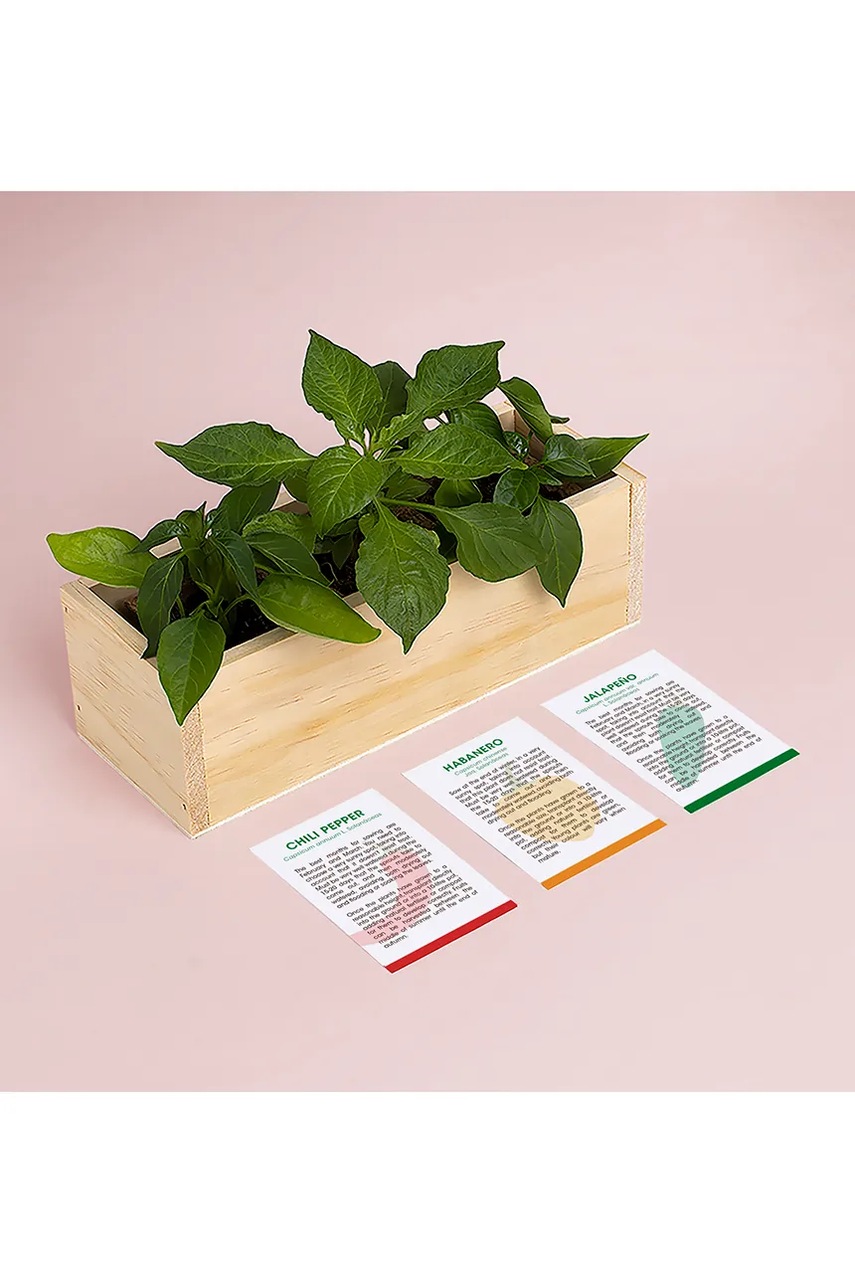 Σετ για την καλλιέργεια φυτών RESETEA Spicy Growing Kit 21 x 7,8 x 6,5 cm φωτογραφία