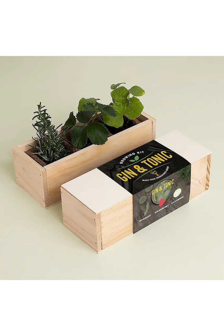RESETEA set pentru cultivarea plantelor Gin Tonic Growing Kit 21 x 7,8 x 6,5 cm