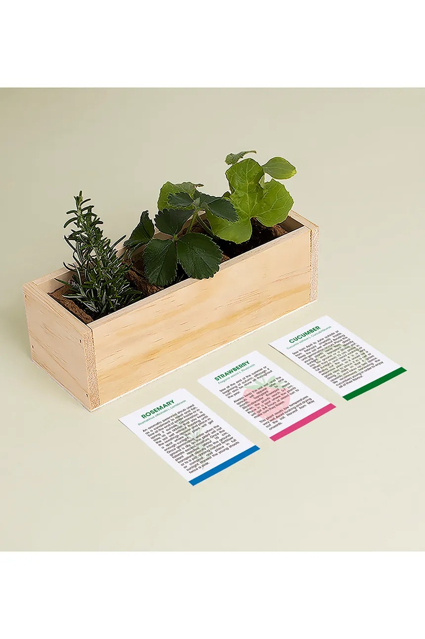 Σετ για την καλλιέργεια φυτών RESETEA Gin Tonic Growing Kit 21 x 7,8 x 6,5 cm φωτογραφία