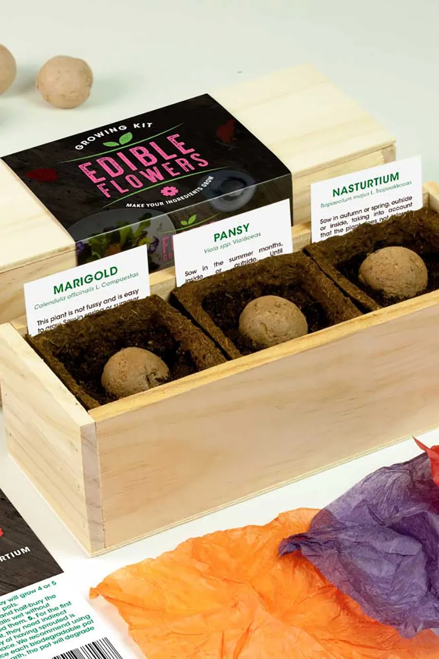 Σετ για την καλλιέργεια φυτών RESETEA Edible Flowers Growing Kit 21 x 7,8 x 6,5 cm φωτογραφία