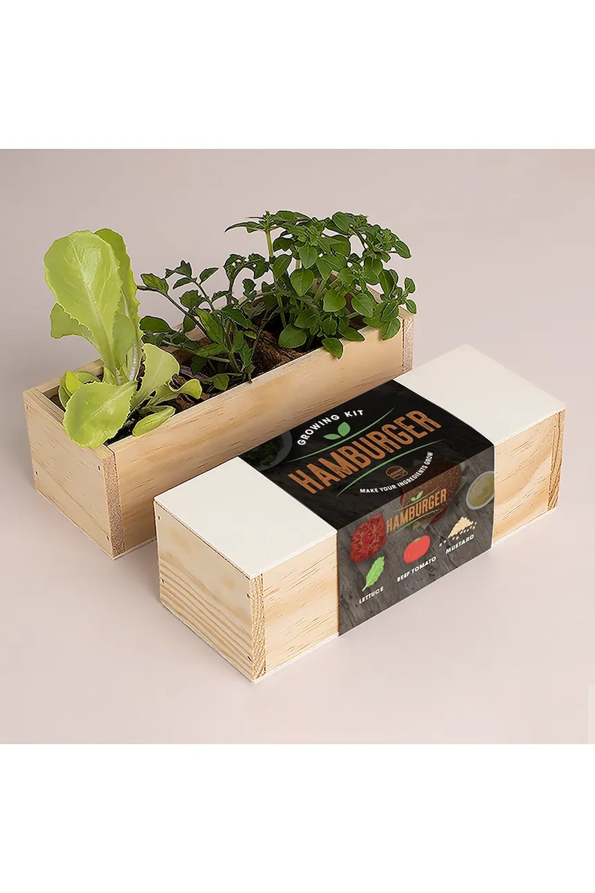 RESETEA set pentru cultivarea plantelor Hamburger Growing Kit 21 x 7,8 x 6,5 cm