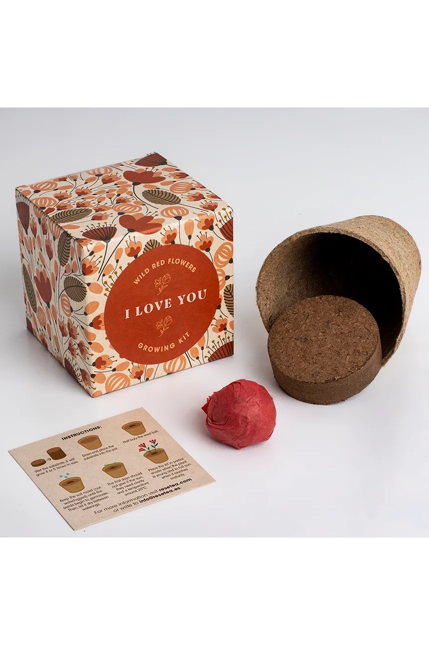 Σετ για την καλλιέργεια λουλουδιών RESETEA Say it with Flowers Growing Kit 8,8 x 8,8 x 8,8 cm χρώμα: πολύχρωμο φωτογραφία