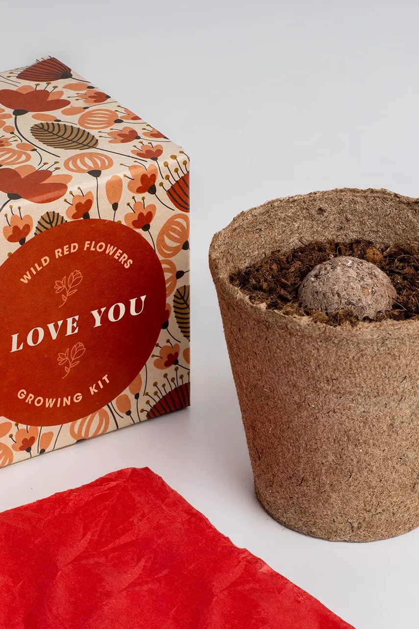 Σετ για την καλλιέργεια λουλουδιών RESETEA Say it with Flowers Growing Kit 8,8 x 8,8 x 8,8 cm χρώμα: πολύχρωμο φωτογραφία