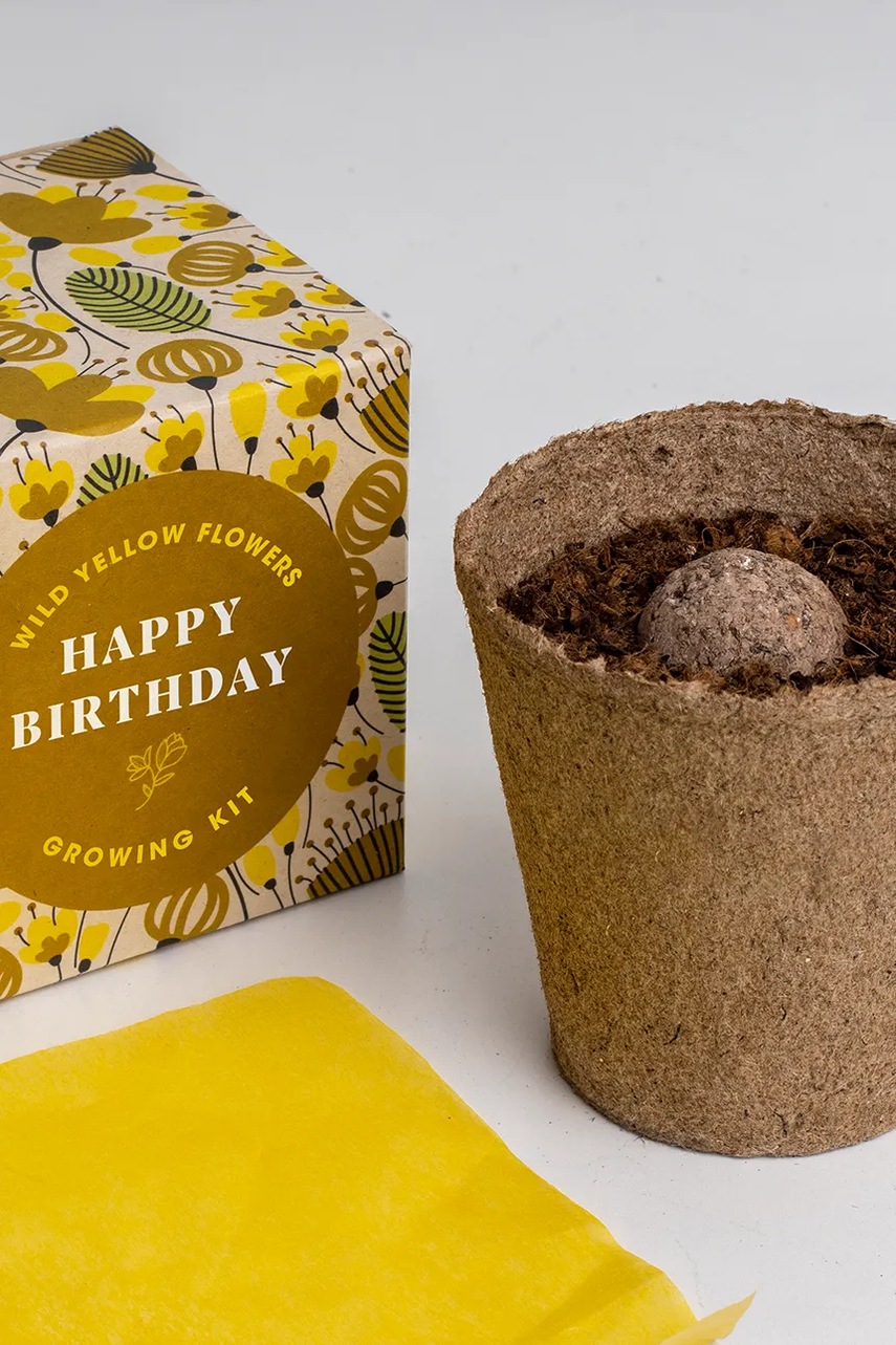 Σετ για την καλλιέργεια λουλουδιών RESETEA Say it with Flowers Growing Kit 8,8 x 8,8 x 8,8 cm χρώμα: πολύχρωμο φωτογραφία