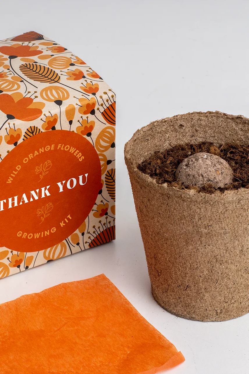 Σετ για την καλλιέργεια λουλουδιών RESETEA Say it with Flowers Growing Kit 8,8 x 8,8 x 8,8 cm χρώμα: πολύχρωμο φωτογραφία