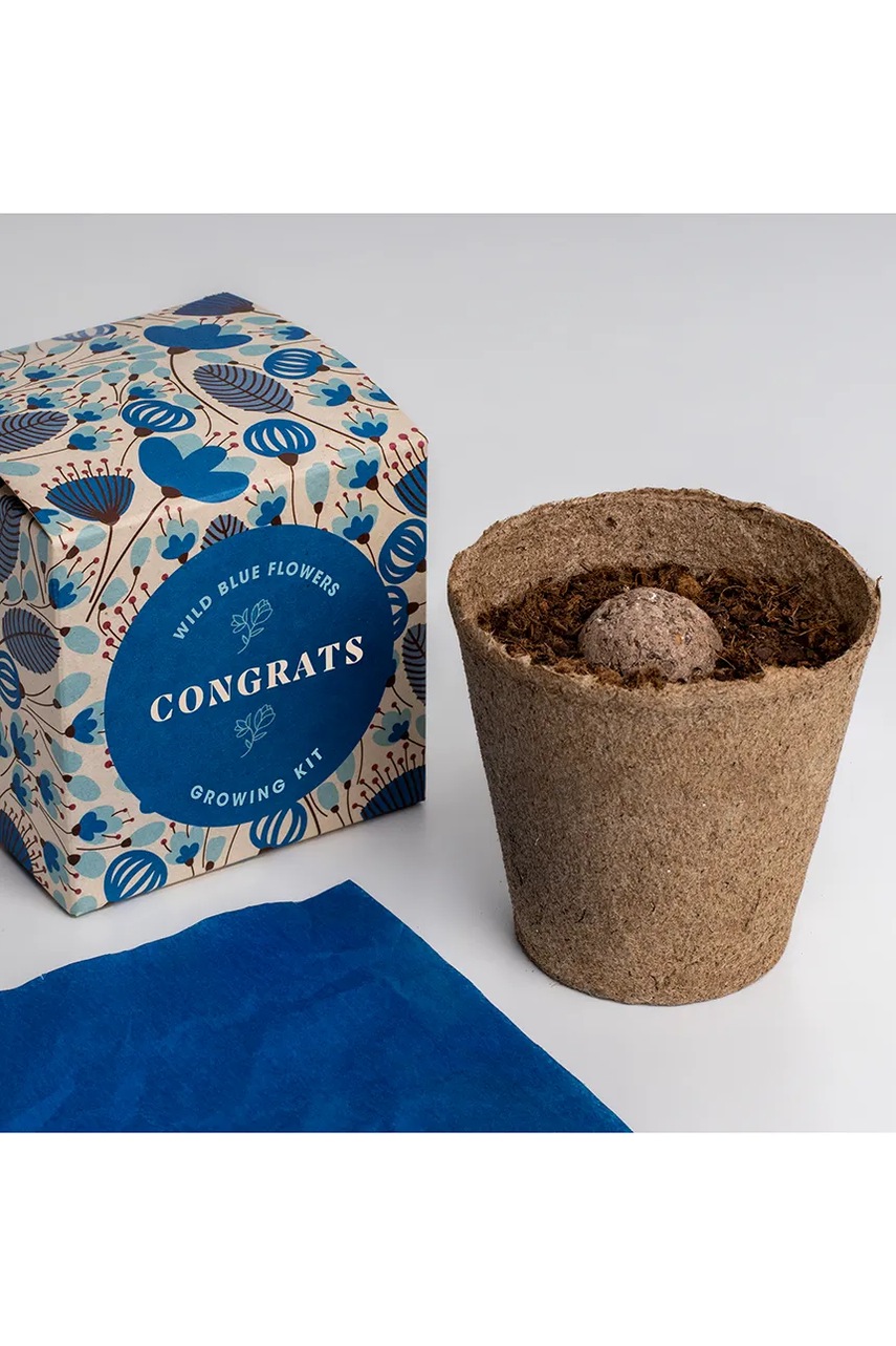 Σετ για την καλλιέργεια λουλουδιών RESETEA Say it with Flowers Growing Kit 8,8 x 8,8 x 8,8 cm χρώμα: πολύχρωμο φωτογραφία