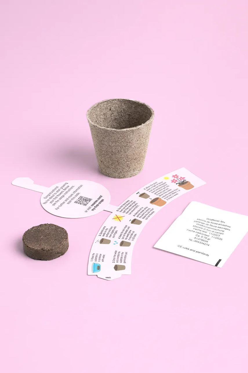 Σετ για την καλλιέργεια ενός φυτού RESETEA My first flower 6,3 x 5,8 cm χρώμα: πολύχρωμο φωτογραφία