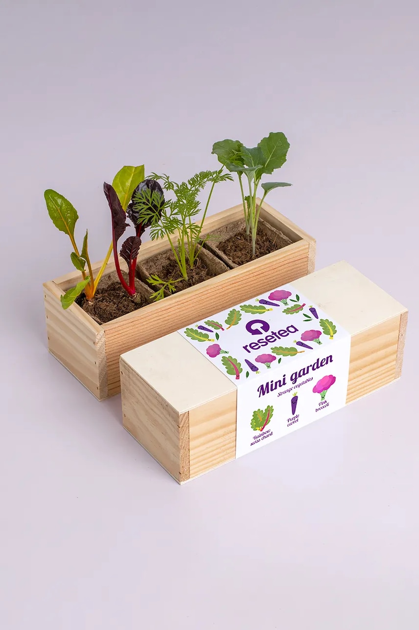 RESETEA set pentru cultivarea plantelor Mini garden Strange vegetables 9,8 x 8,8 x 8,8 cm