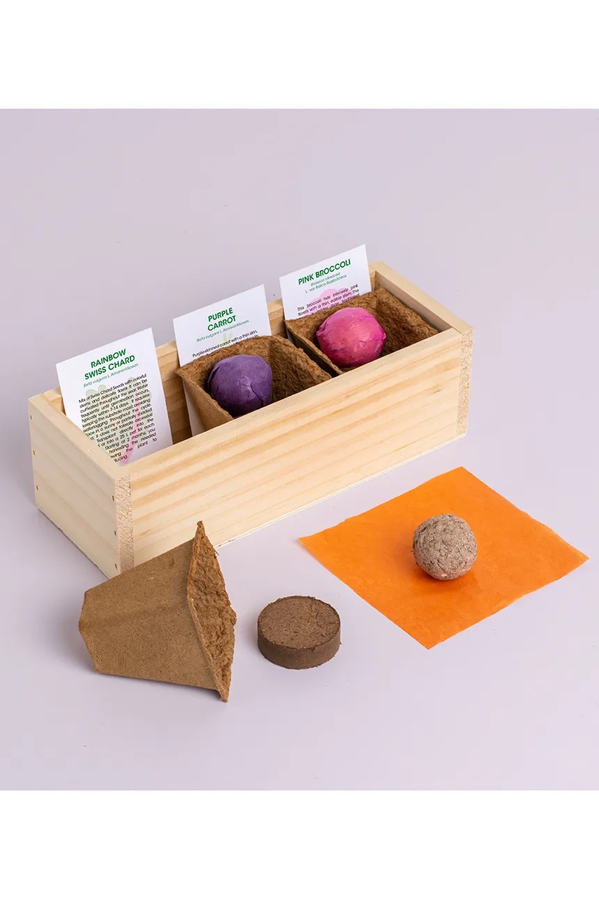 Σετ για την καλλιέργεια φυτών RESETEA Mini garden Strange vegetables 9,8 x 8,8 x 8,8 cm φωτογραφία