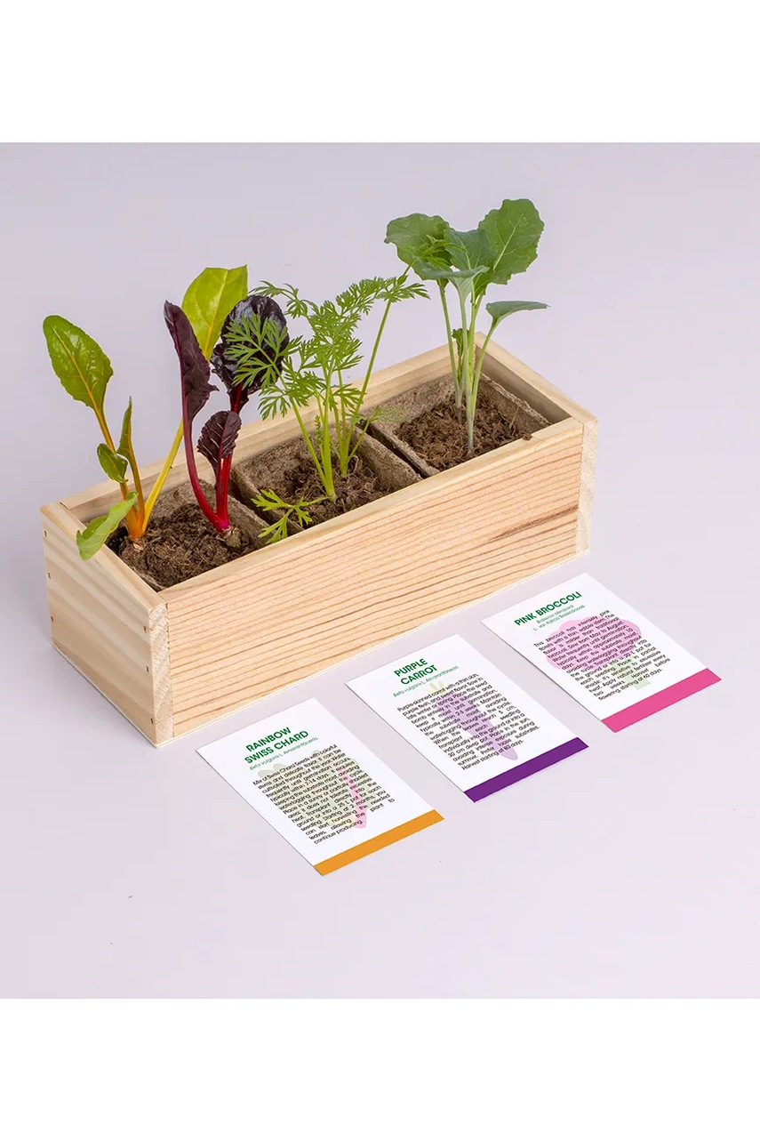 Σετ για την καλλιέργεια φυτών RESETEA Mini garden Strange vegetables 9,8 x 8,8 x 8,8 cm φωτογραφία