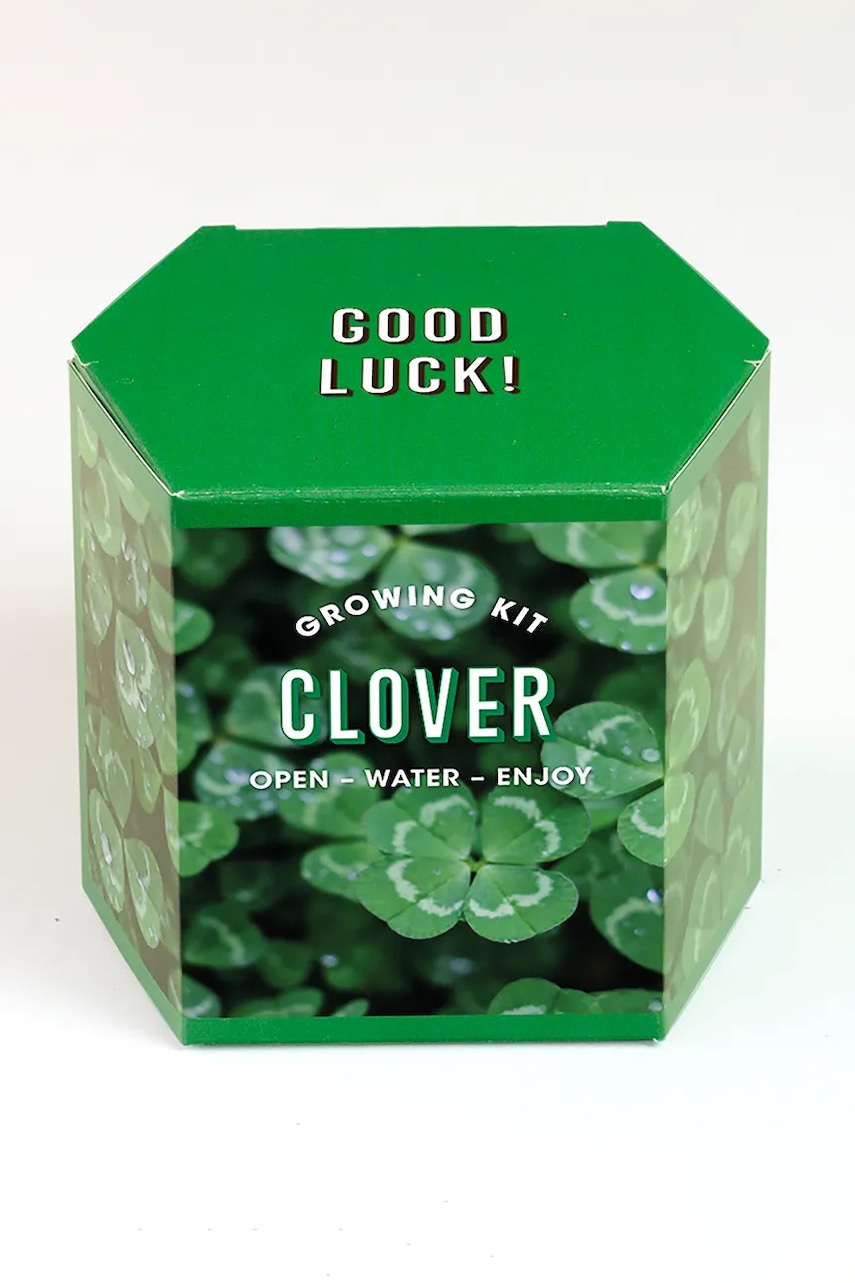 RESETEA set pentru cultivarea unei plante Clover Growing Kit 9,8 x 8,8 x 8,8 cm