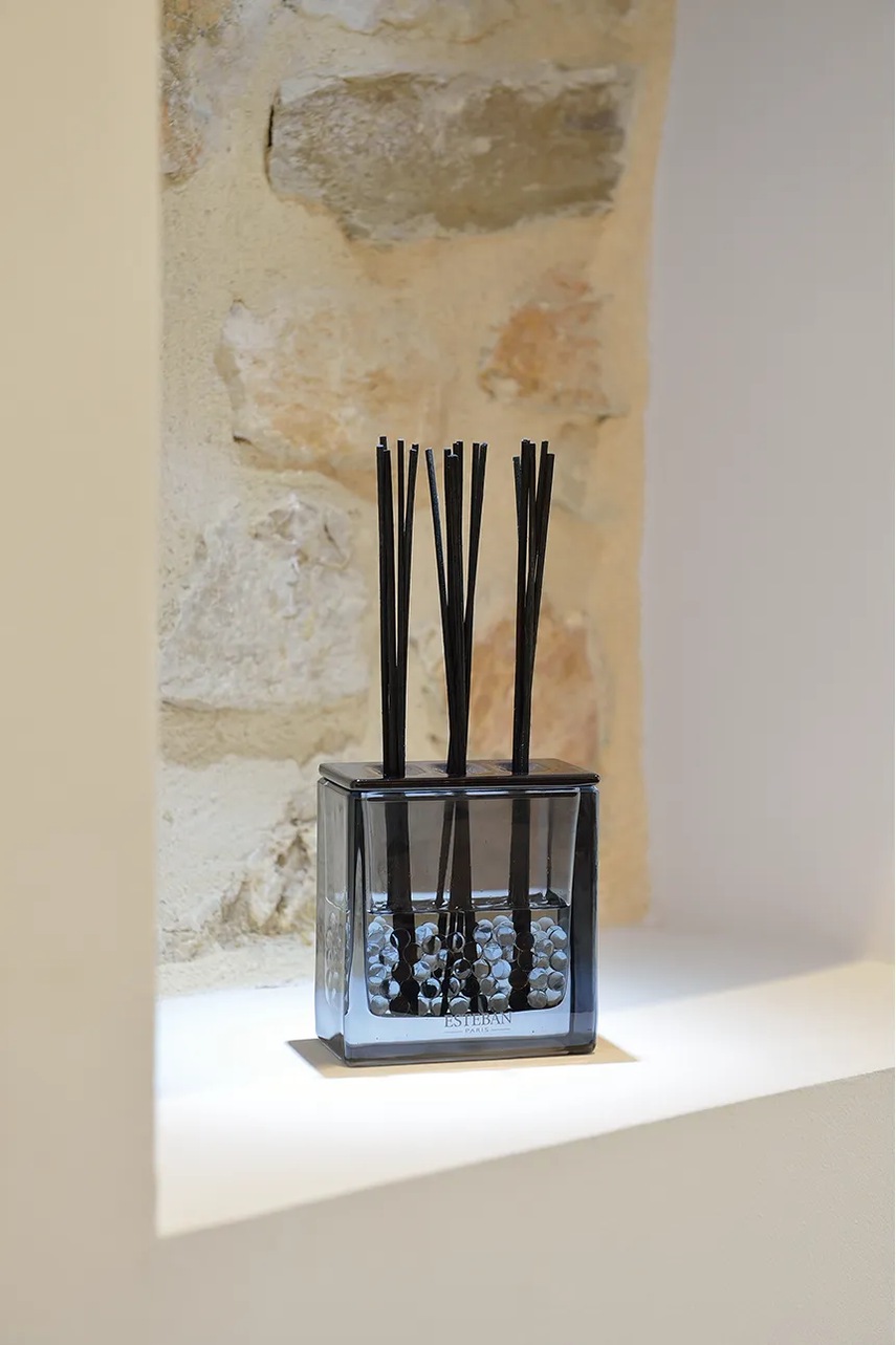 Διαχυτής αρώματος Esteban Triptyque Figue Noire 250 ml χρώμα: πολύχρωμο φωτογραφία