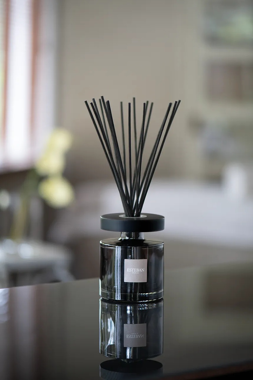 Διαχυτής αρώματος Esteban Iris Cashmere 200 ml χρώμα: πολύχρωμο φωτογραφία