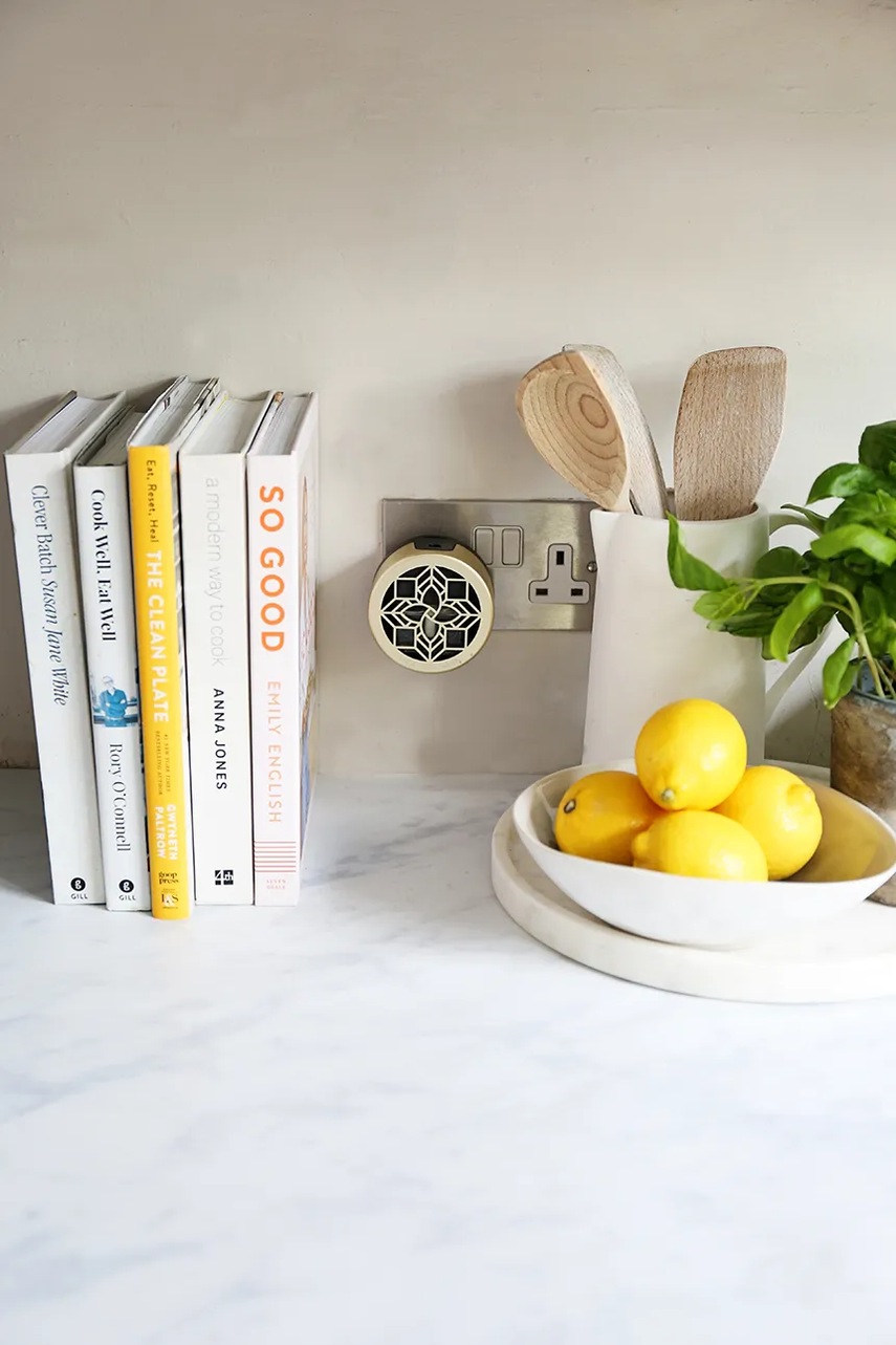 Αρωματικός διαχυτής τοίχου Max Benjamin Lemongrass & Ginger 15 ml φωτογραφία