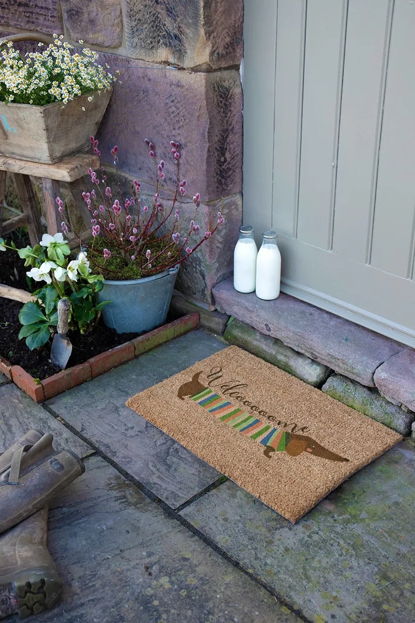 Rohož na topánky Artsy Doormats 60 x 40cm