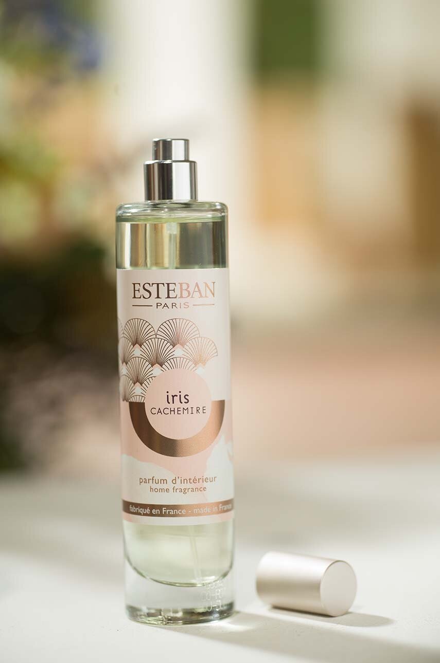 Άρωμα δωματίου Esteban Iris&Cachemire 75 ml φωτογραφία