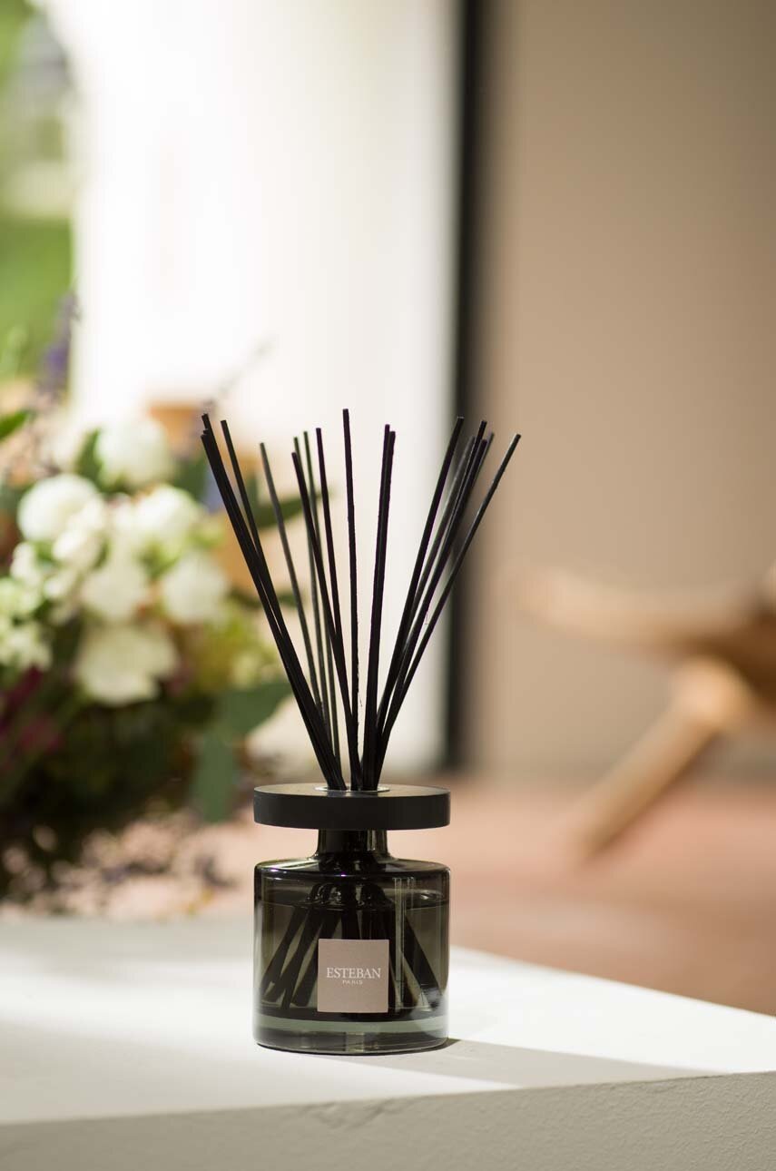 Διαχυτής αρώματος Esteban Ambre 200 ml φωτογραφία