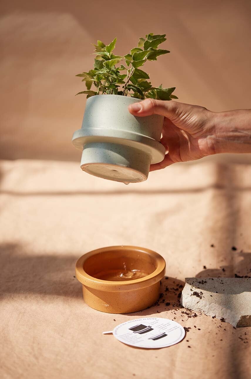 Mirisna svijeća od sojinog voska Paddywax Salt & Sage 326 g