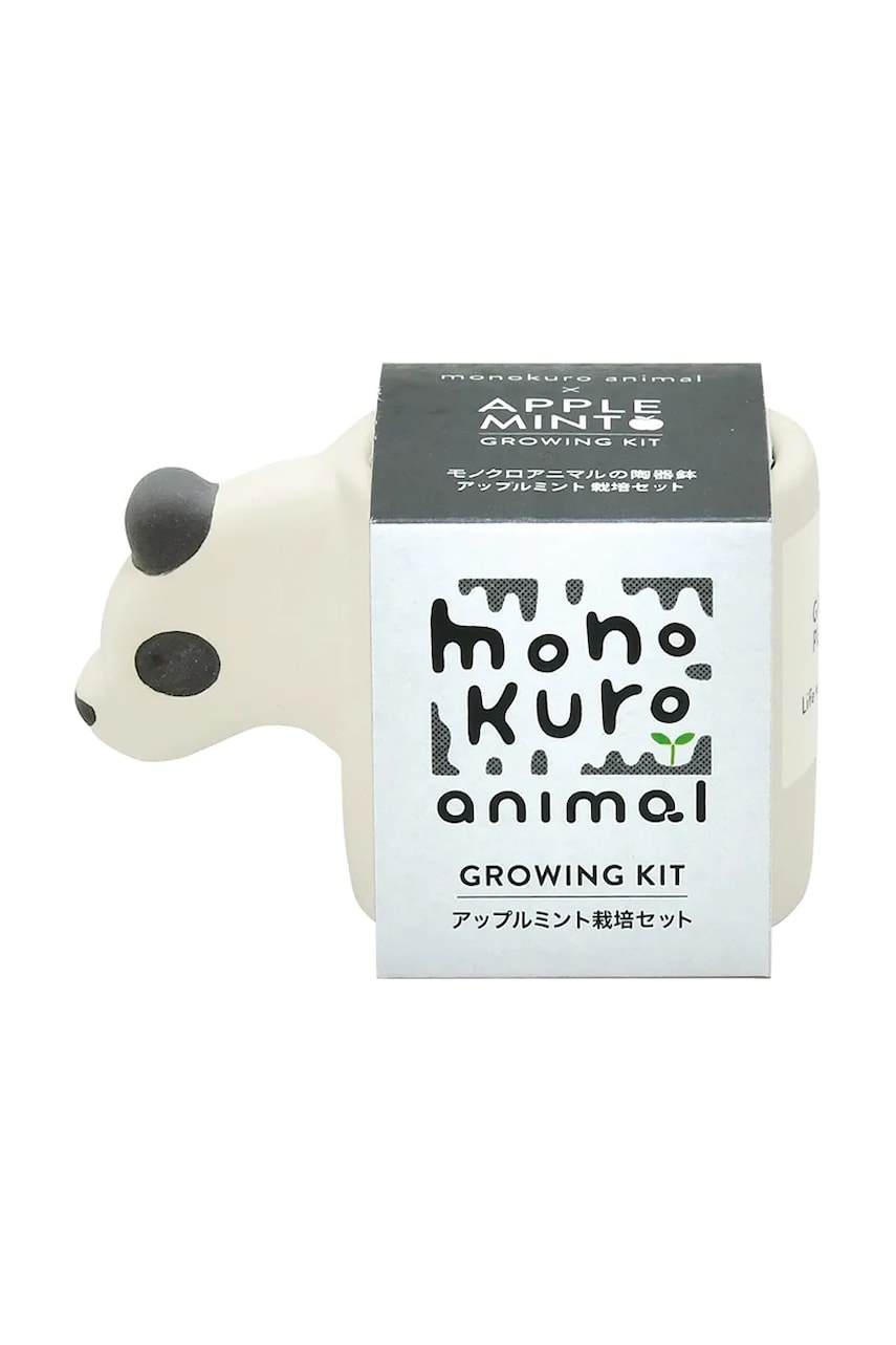 Noted set pentru cultivarea unei plante Monokuro Animals Panda Apple MInt culoarea alb Noted set pentru cultivarea unei plante Monokuro Animals Panda Apple MInt culoarea alb