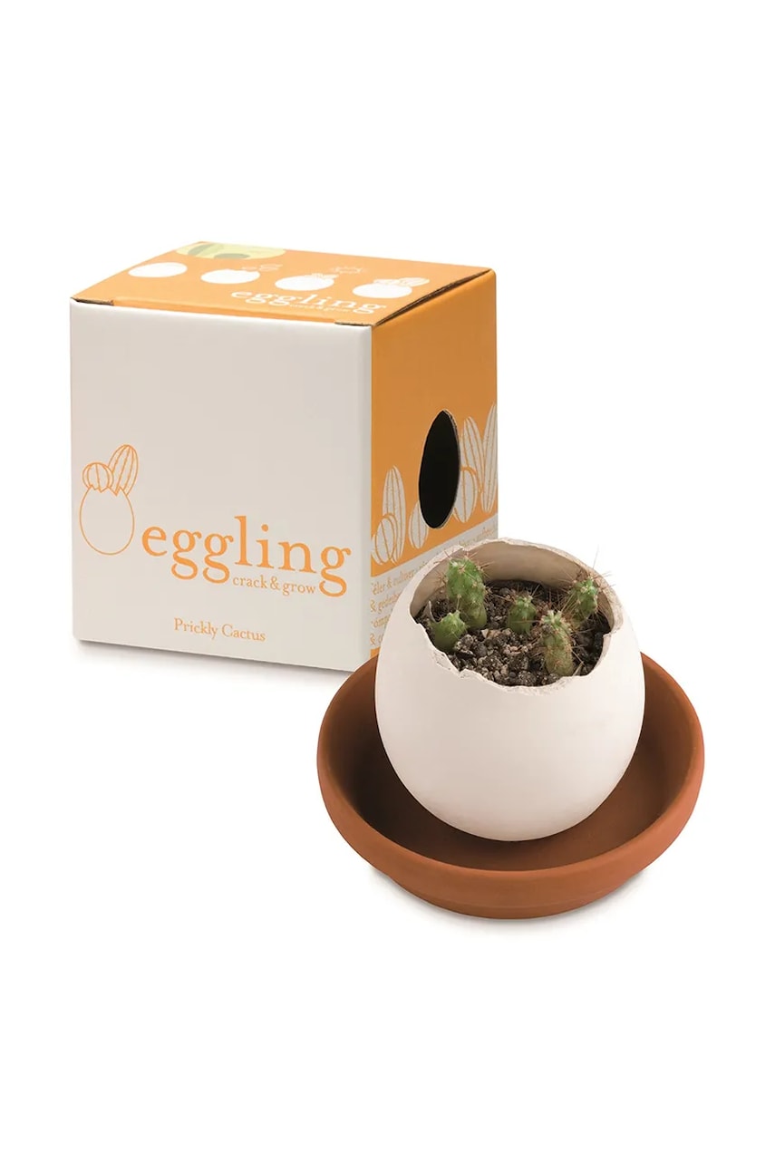 Noted set pentru cultivarea unei plante Eggling Prickly Cactus culoarea alb Noted set pentru cultivarea unei plante Eggling Prickly Cactus culoarea alb