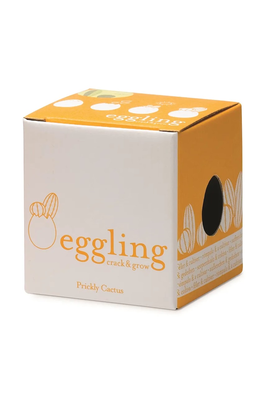 Набор для выращивания растений Noted Eggling Prickly Cactus цвет белый Набор для выращивания растений Noted Eggling Prickly Cactus цвет белый